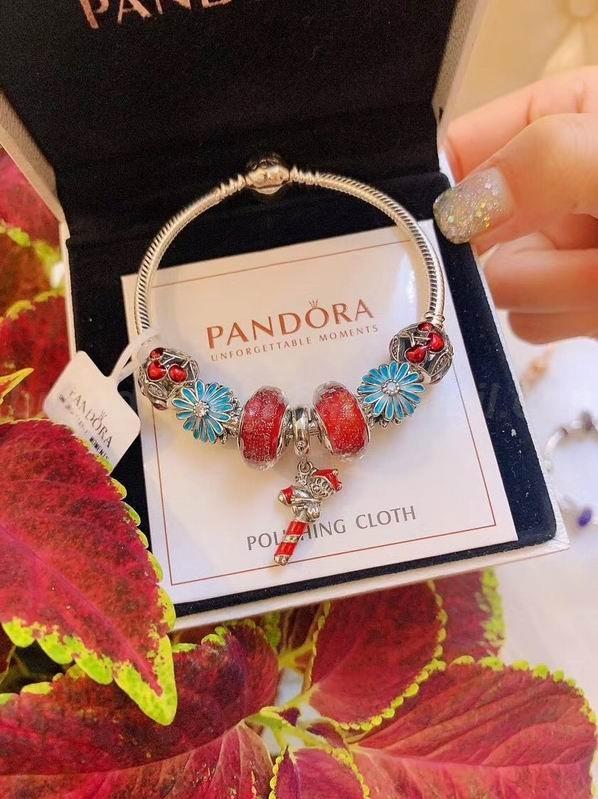 Pandora Bracelets 293